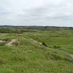 Sonstiges / 00000000_DSC00781.jpg