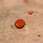 Sonstiges / 00000000_IMG_7936.jpg