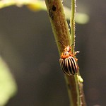 Tiere / 00000001_IMG_7588.jpg