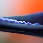 Pflanzen / 20120325_IMG_5647.jpg