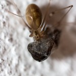 Tiere / 20130806_IMG_7664.jpg