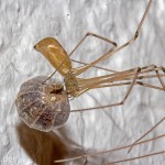 Tiere / 20130806_IMG_7777.jpg