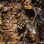 Sonstiges / 20130825_IMG_8422.jpg