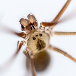 Tiere / 20130907_IMG_8777.jpg