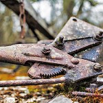 Sonstiges / 20150308_IMG_1320.jpg