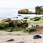 Sonstiges / 20150829_IMG_4791.jpg