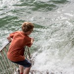Sonstiges / 20160605_IMG_7609.jpg