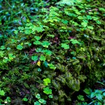 Sonstiges / 20160605_IMG_7948.jpg