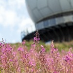 Sonstiges / 20160904_IMG_0405.jpg