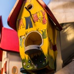 Sonstiges / 20170114_IMG_2857.jpg