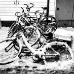 Black_and_White / 20170121_IMG_1203.jpg