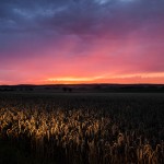 Sonstiges / 20170803_IMG_8872.jpg