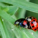 Tiere / 20170820_IMG_9552.jpg