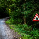 Sonstiges / 20170822_IMG_9618.jpg