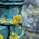 Sonstiges / 20170828_IMG_0043.jpg
