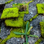 Sonstiges / 20170912_IMG_0262.jpg